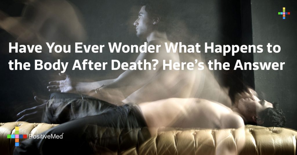 Have You Ever Wonder What Happens to the Body After Death? Here's the Answer