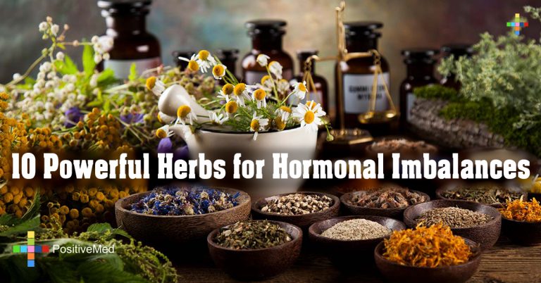 10 Powerful Herbs for Hormonal Imbalances 10 Powerful Herbs for Hormonal Imbalances