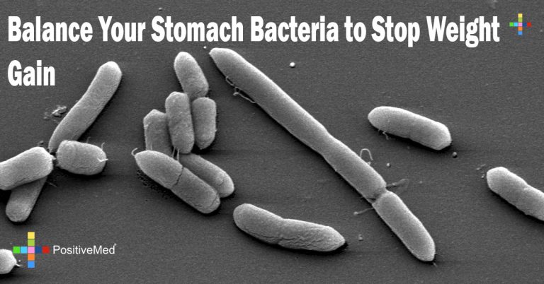 Balance Your Stomach Bacteria to Stop Weight Gain