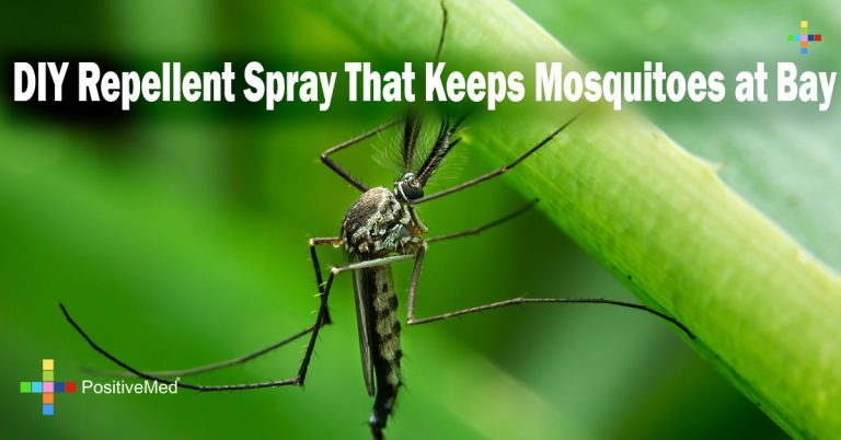 DIY Repellent Spray That Keeps Mosquitoes at Bay DIY Repellent Spray That Keeps Mosquitoes at Bay