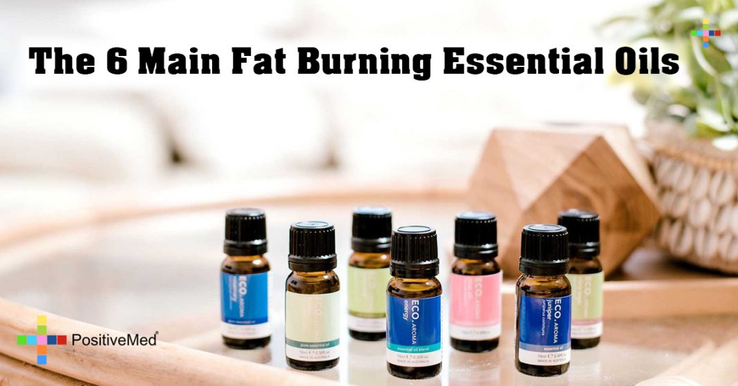 The 6 Main Fat Burning Essential Oils PositiveMed