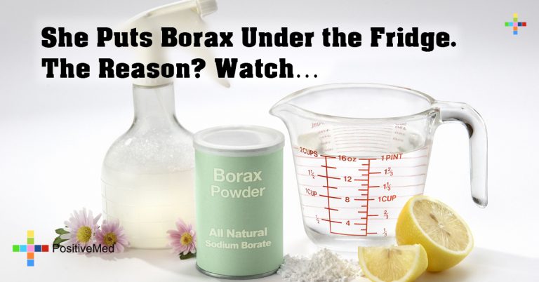 She Puts Borax Under the Fridge. The Reason? Watch… She Puts Borax Under the Fridge. The Reason? Watch…