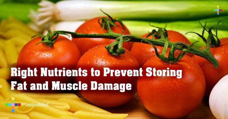 Right Nutrients to Prevent Storing Fat and Muscle Damage Right Nutrients to Prevent Storing Fat and Muscle Damage