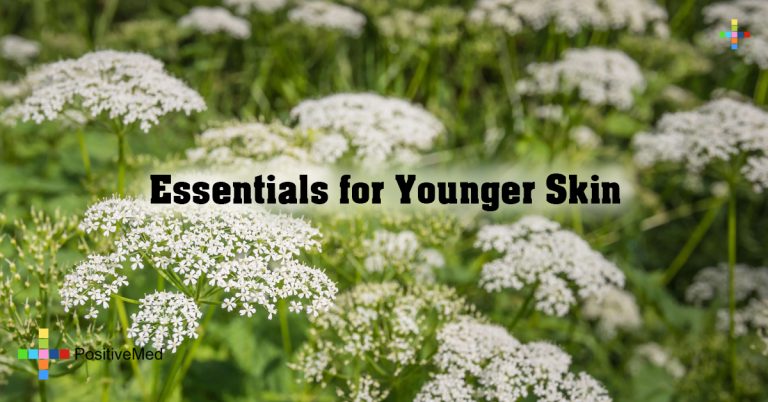 Essentials for Younger Skin