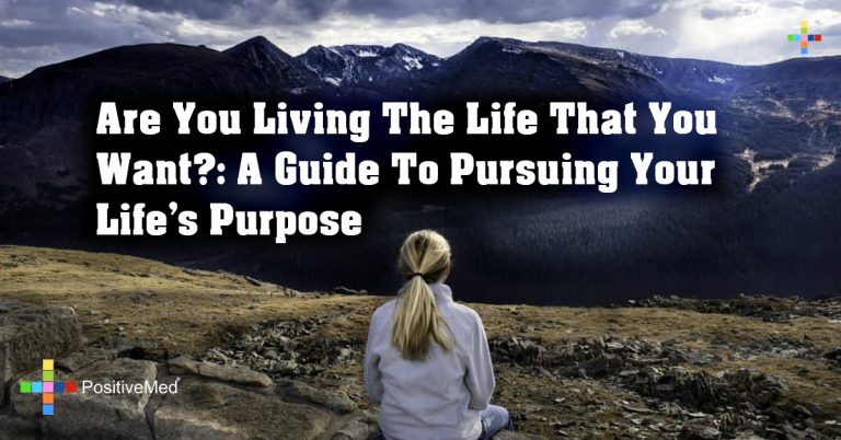 Are You Living The Life That You Want?: A Guide To Pursuing Your Life’s Purpose