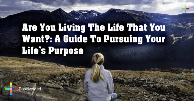 Are You Living The Life That You Want?: A Guide To Pursuing Your Life’s Purpose Are You Living The Life That You Want?: A Guide To Pursuing Your Life’s Purpose