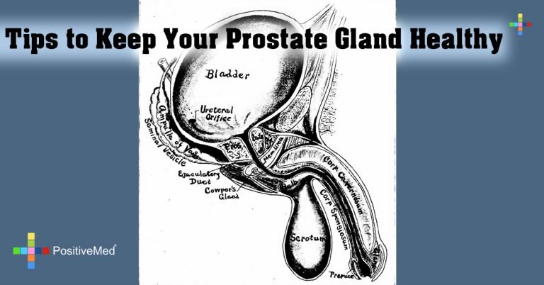 Tips to Keep Your Prostate Gland Healthy