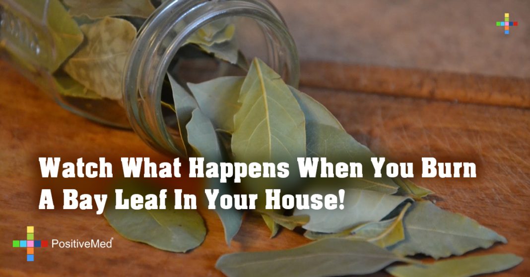 Watch What Happens When You Burn A Bay Leaf In Your House! PositiveMed