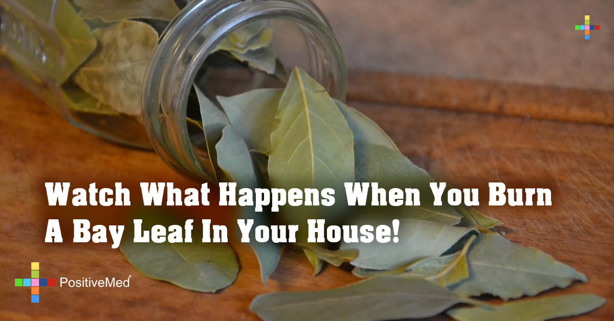 Watch What Happens When You Burn A Bay Leaf In Your House!