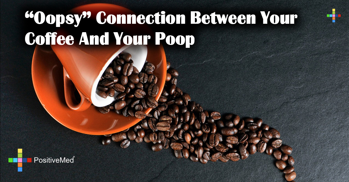"Oopsy" Connection Between Your Coffee And Your Poop