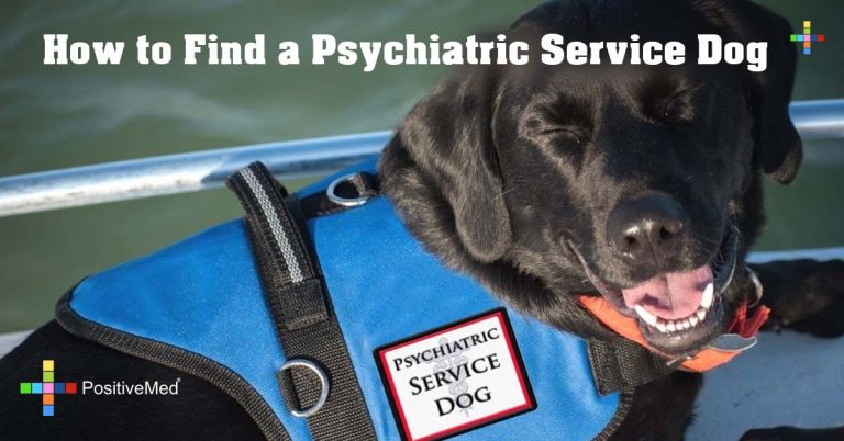 How to Find a Psychiatric Service Dog