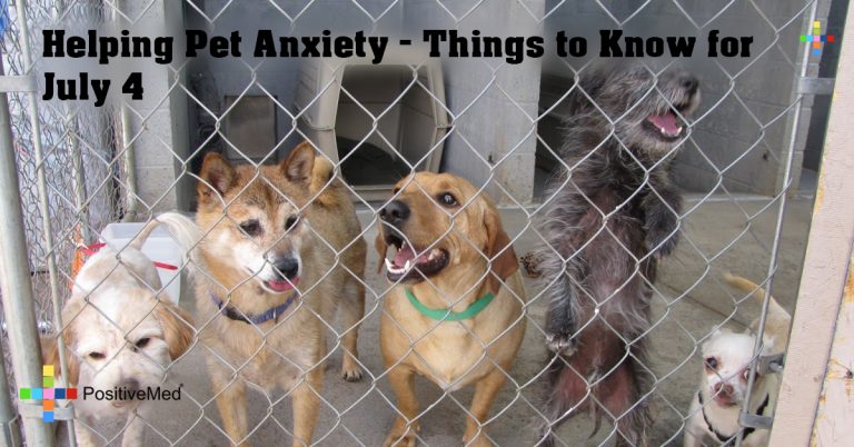 Helping Pet Anxiety – Things to Know for July 4