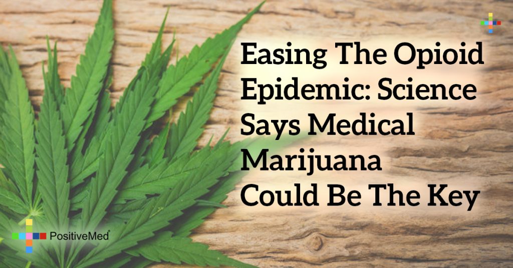 Easing the Opioid Epidemic: Science Says Medical Marijuana Could Be the Key