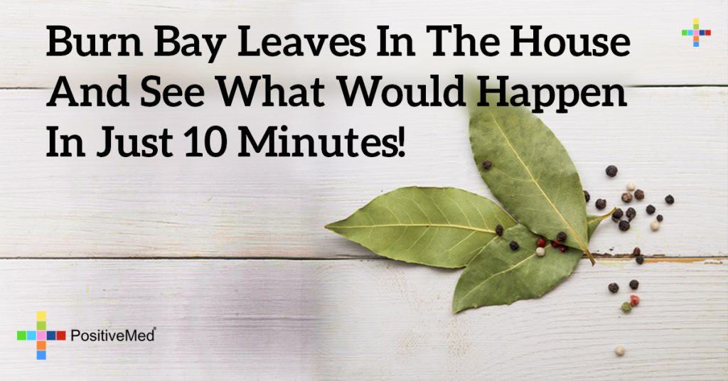 Burn Bay Leaves in the House and See What Would Happen in Just 10 Minutes!