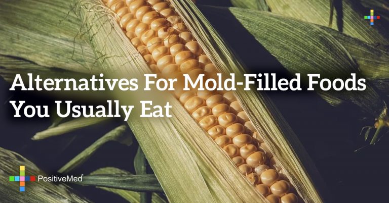 Alternatives for Mold-Filled Foods You Usually Eat Alternatives for Mold-Filled Foods You Usually Eat