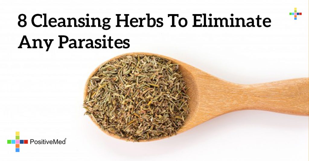 8 Cleansing Herbs to Eliminate Any Parasites