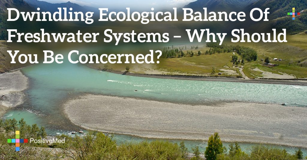 Dwindling Ecological Balance of Freshwater Systems – Why Should You Be Concerned?