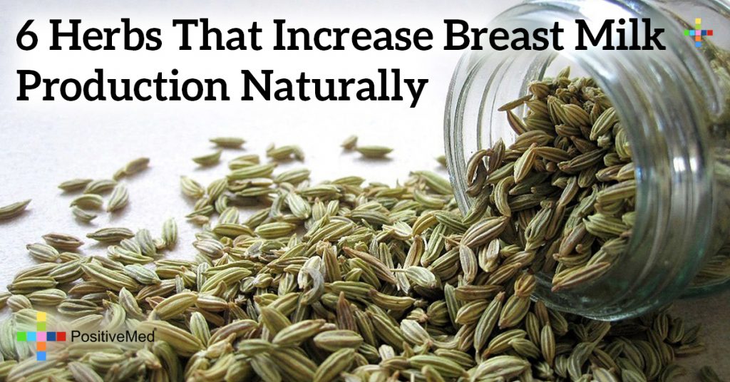 6 Herbs That Increase Breast Milk Production Naturally