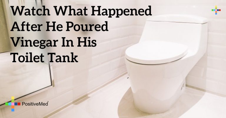 Watch What Happened After He Poured Vinegar in His Toilet Tank