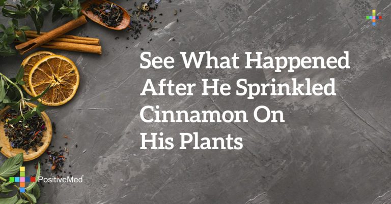 See What Happened After He Sprinkled Cinnamon on His Plants