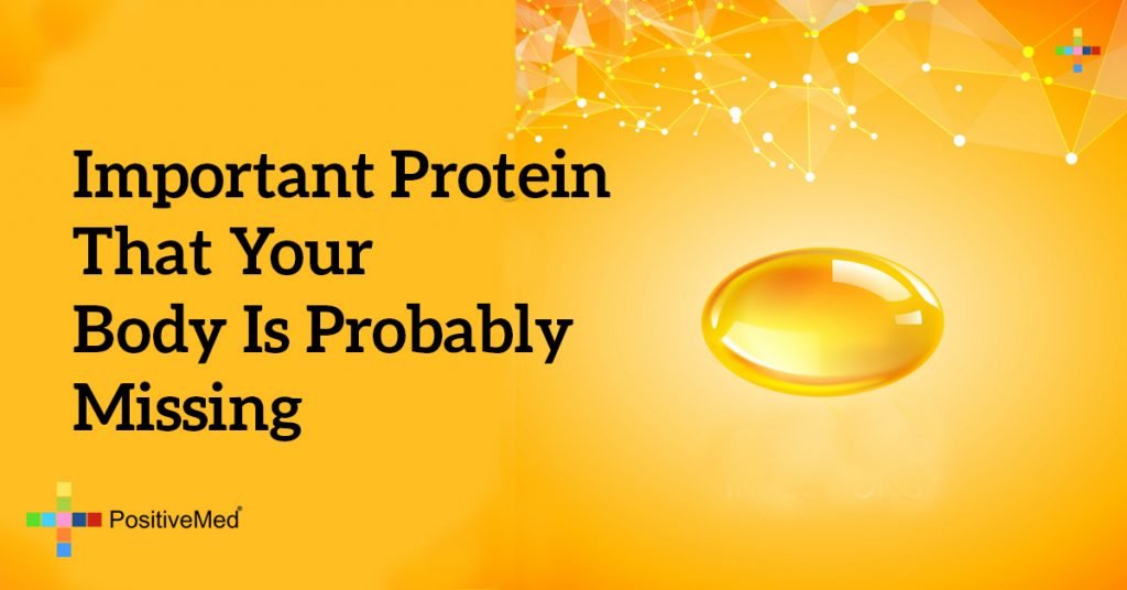 Important Protein That Your Body Is Probably Missing