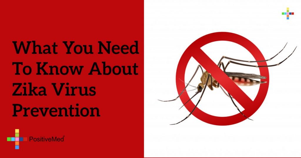 What You Need to Know About Zika Virus Prevention