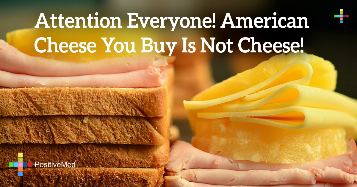 Attention Everyone! American Cheese You Buy Is NOT Cheese! PositiveMed