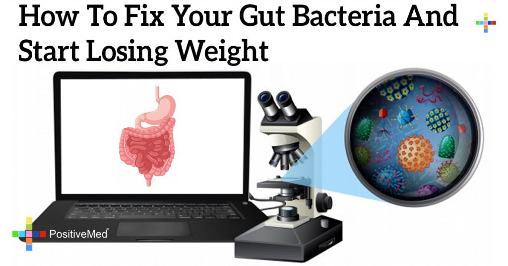 How to Fix Your Gut Bacteria and Start Losing Weight
