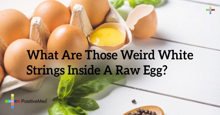 What Are Those Weird White Strings Inside A Raw Egg?