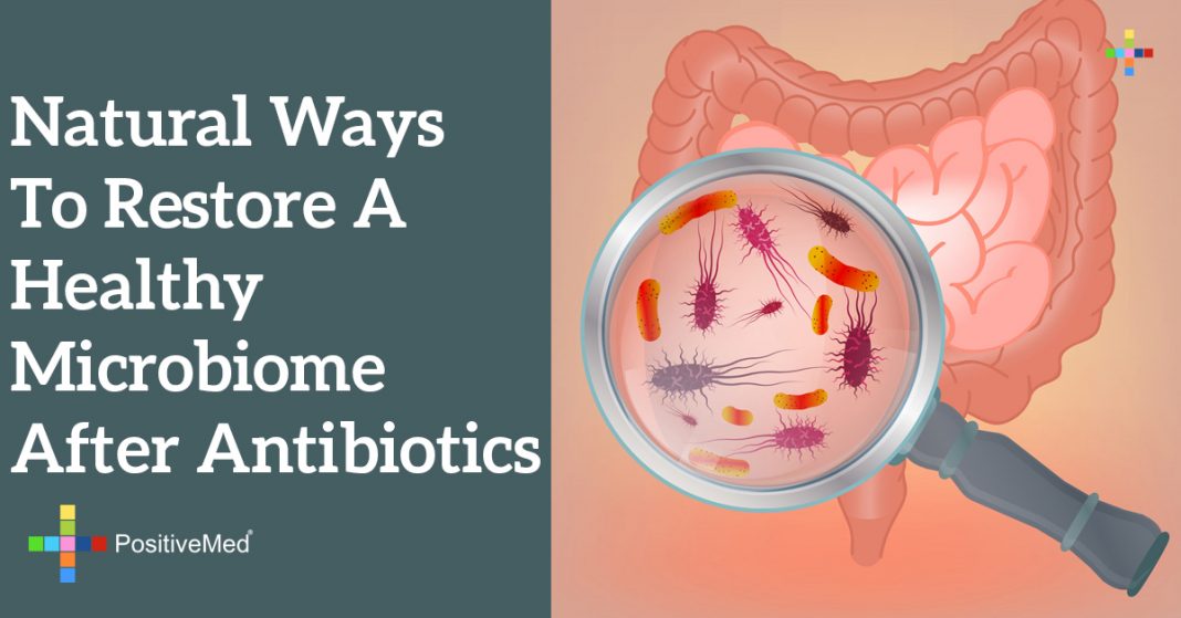 Natural Ways To Restore A Healthy Microbiome After Antibiotics