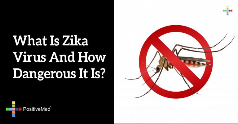 What Is Zika Virus And How Dangerous It Is?