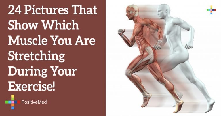24 Pictures That Show Which Muscle You Are Stretching During Your Exercise!