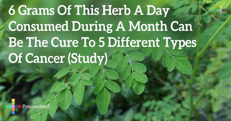 6 Grams Of This Herb A Day Consumed During A Month Can Be The Cure To 5 Different Types Of Cancer (Study) 6 Grams Of This Herb A Day Consumed During A Month Can Be The Cure To 5 Different Types Of Cancer (Study)