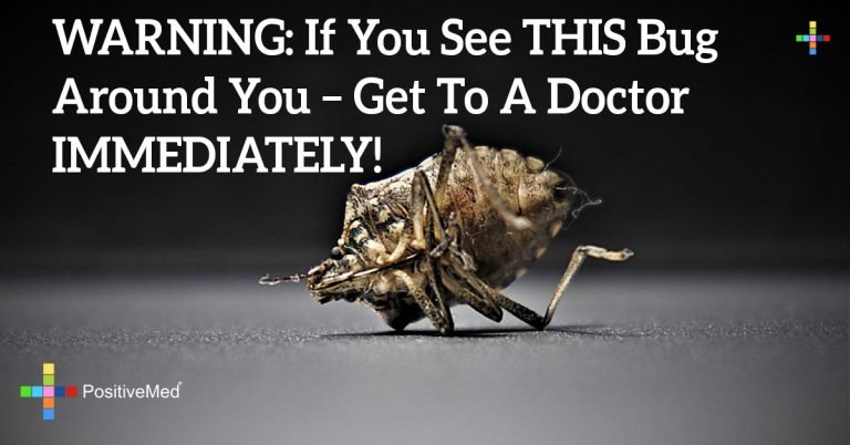 WARNING: If You See THIS Bug Around You – Get To A Doctor IMMEDIATELY!