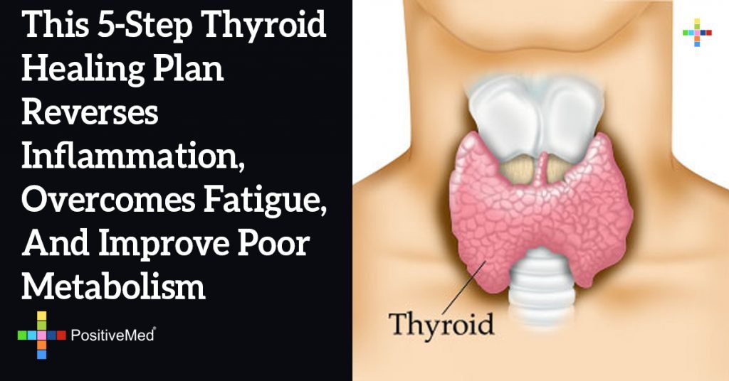 This 5-Step Thyroid Healing Plan Reverses Inflammation, Overcomes Fatigue, And Improve Poor Metabolism