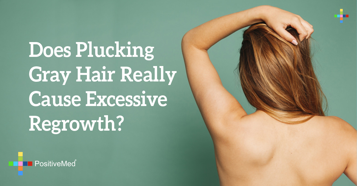 Does Plucking Gray Hair Really Cause Excessive Regrowth Positivemed