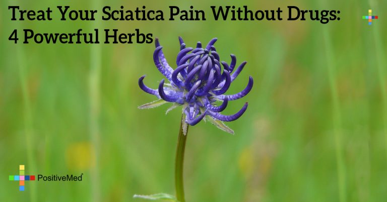 Treat Your Sciatica Pain Without Drugs: 4 Powerful Herbs Treat Your Sciatica Pain Without Drugs: 4 Powerful Herbs