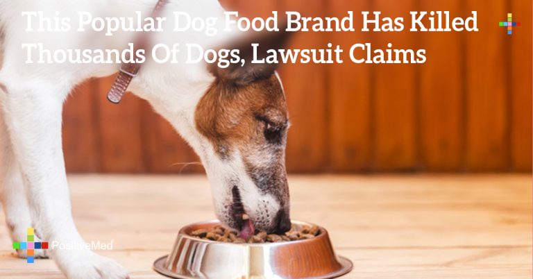 This Popular Dog Food Brand Has Killed Thousands Of Dogs, Lawsuit Claims