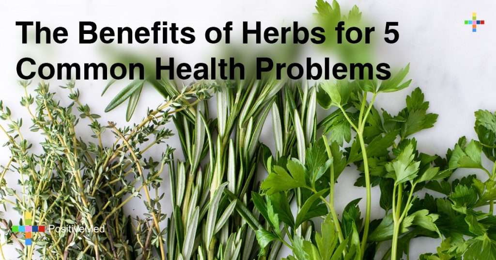 The Benefits of Herbs for 5 Common Health Problems