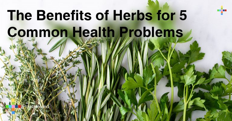 The Benefits of Herbs for 5 Common Health Problems The Benefits of Herbs for 5 Common Health Problems