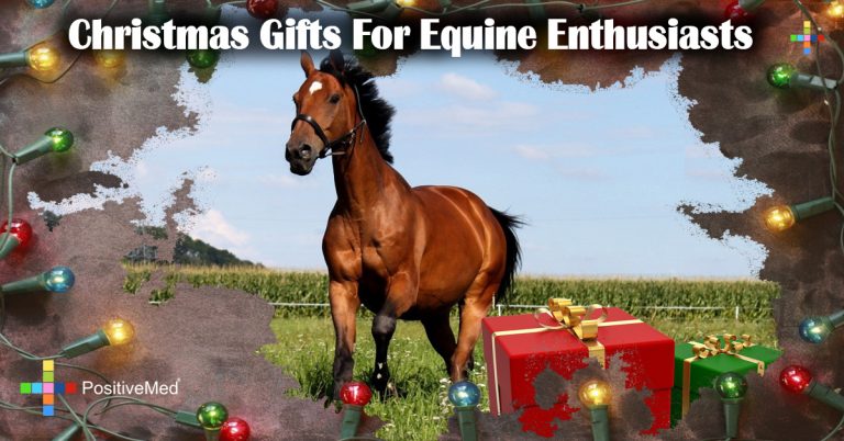 Christmas Gifts For Equine Enthusiasts