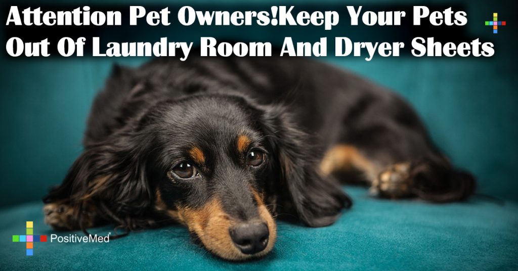 Attention Pet Owners!Keep Your Pets Out Of Laundry Room And Dryer Sheets