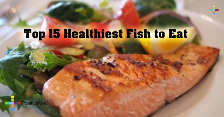 Top 15 Healthiest Fish to Eat Top 15 Healthiest Fish to Eat