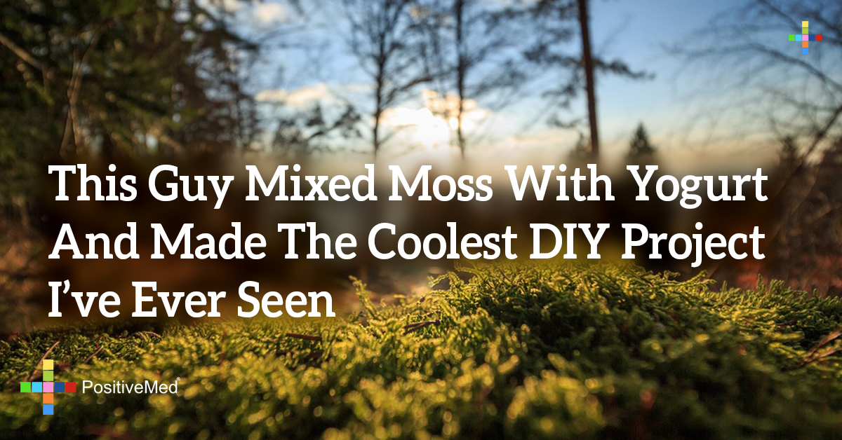 This Guy Mixed Moss With Yogurt And Made The Coolest DIY Project I've