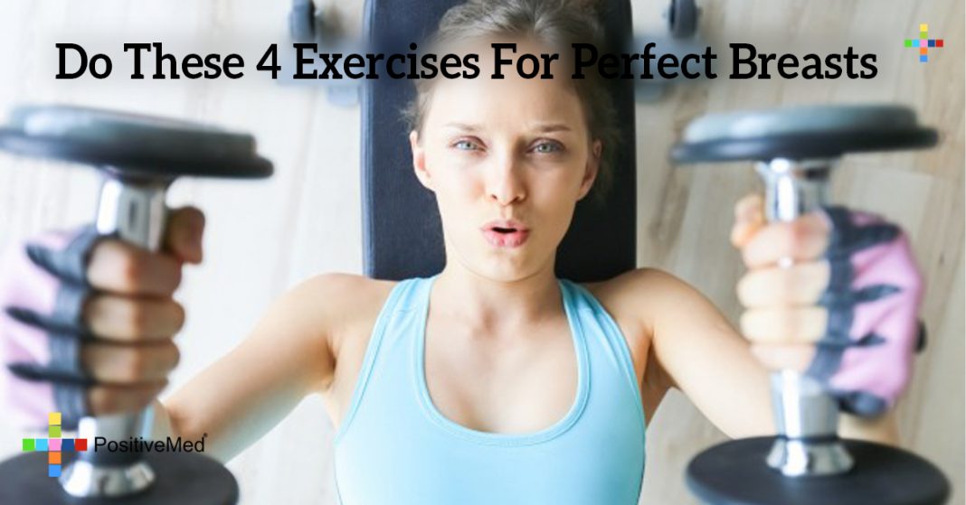 Do These 4 Exercises For Perfect Breasts PositiveMed