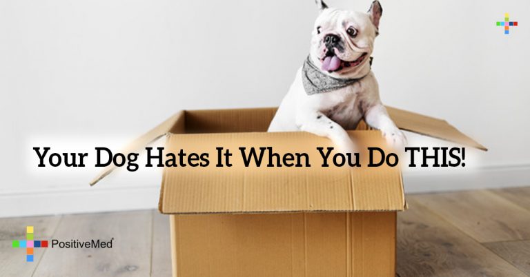 Your Dog Hates It When You Do THIS! Your Dog Hates It When You Do THIS!