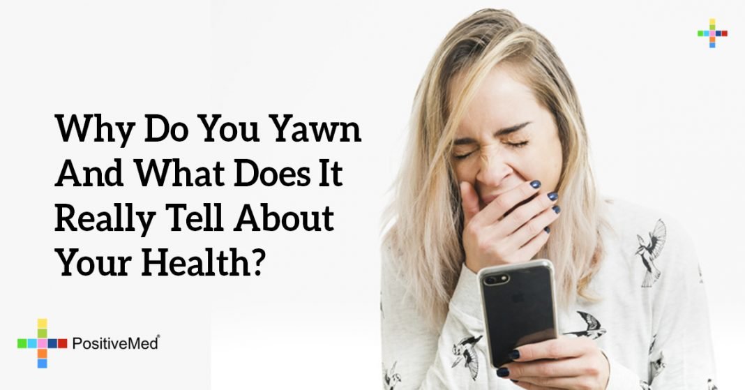 Why Do You Yawn And What Does It Really Tell About Your Health?