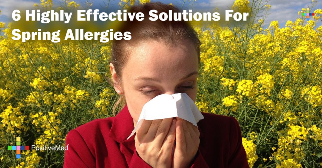 6 Highly Effective Solutions For Spring Allergies