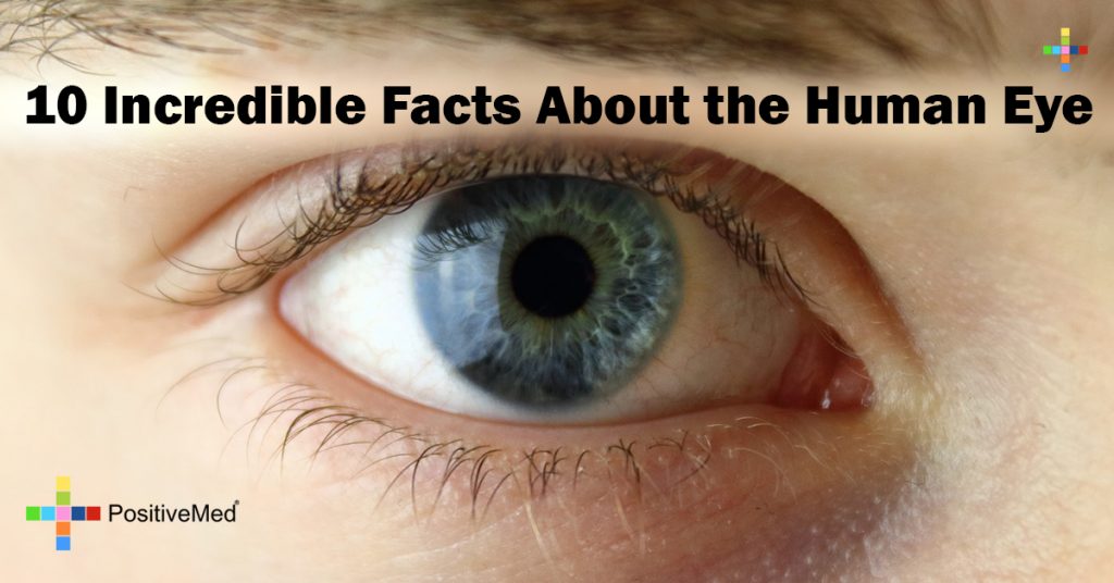 10 Incredible Facts About the Human Eye