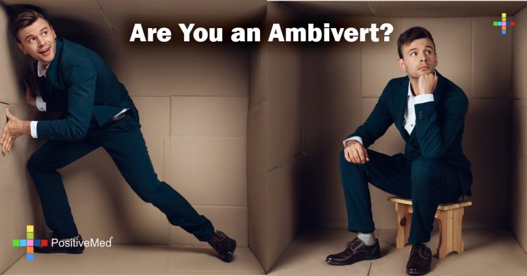 Are You an Ambivert? Are You an Ambivert?